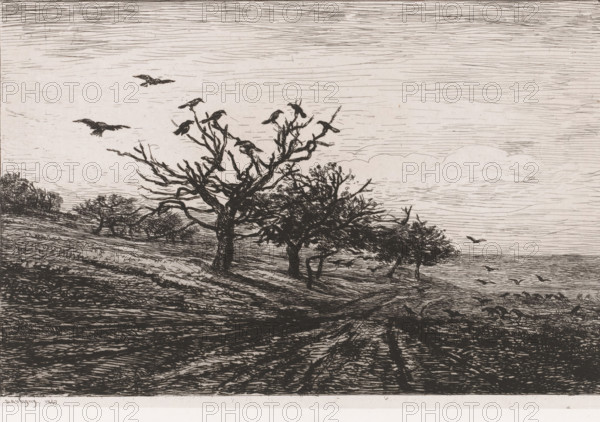 Landscape with trees and crows, L'arbre aux corbeaux, print, printmaker: Charles-François Daubigny, France, 1867, Charles-François Daubigny, printmaker, paper, chine collé, etching, drypoint, etching and drypoint on chine collé, height 217 mm x width 303 mm, landscapes, groups of trees, song-birds: crow, A monochrome landscape showing a sloping shoreline with textured ground lines, several leafless and partially leafy trees clustered near the center and right, and numerous birds perched on branches and flying above the trees, with a distant horizon and a lightly lined sky filling the upper area.