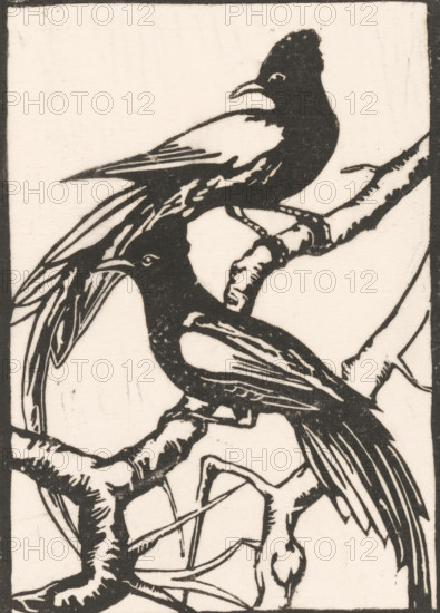 Two birds on a branch, Two exotic birds, print, Possibly two crested cuckoos., inscription: 'No 17', printmaker: Janus de Winter (signed by artist), 1892 - 1951, paper, Japanese paper (handmade paper), linocut, linocut on Japanese paper, height 278 mm x width 227 mm, birds, A monochrome woodcut-style image of two birds perched on intertwined branches, with bold black outlines and white negative space; one bird sits higher with a curved beak and a crest on its head, the other faces downward with a long pointed beak and elongated tail feathers, both showing stylized wing and feather patterns and textured branch surfaces.