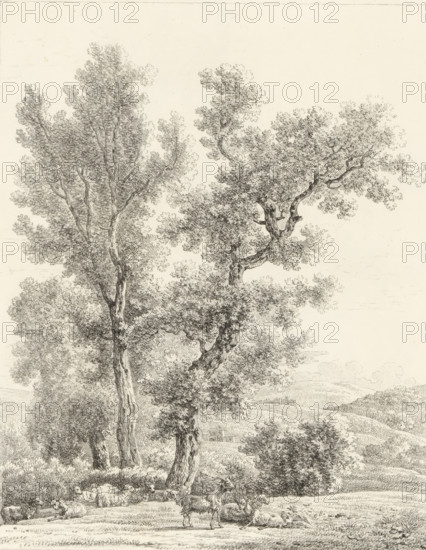 Landscape with flock of sheep, Receuil de dessins sur pierre, Series of lithographs, print, album page, Print is part of an album., 1818 - 1819, printmaker, paper, lithography, lithografie, height 300 mm x width 442 mm, landscapes, sheep, herd, flock, A detailed pencil drawing of a rural scene dominated by tall, leafy trees with textured trunks and branches, a gently rolling landscape in the background, and a foreground meadow where several sheep and a goat rest and stand beneath the trees, all rendered with fine, intricate shading and stippling on a light paper background.
