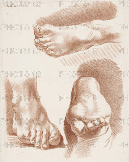 Three feet in different positions, 5.e Feuille du 5.e Cahier., Compositions with parts of the human body, Cinquième Cahier de Principes de Dessein, print, Series number, 5, 6, printmaker: Jean François Janinet, France, after design by Pierre Thomas Le Clerc, publisher: Le Père & Pierre-Michel Avaulez, Charles, Paris, supervision: Louis Marin Bonnet, dedicated by: Thomas Leclerc, dedicated to: Jean Baptiste Marie Pierre, 1773, paper, crayon manner, crayon manner in brown, height 284 mm x width 207 mm, This print is part of an album consisting of at least eleven parts. This is the fifth sheet from the fifth album. These albums probably served as models for draftsmen, painters, and engravers., foot, A sepia-toned drawing of several human feet and ankles arranged across the page, showing tops, soles, and sides with detailed shading and textured crosshatching, each foot rendered with visible toes, toenails, contours of skin, and shadowed areas beneath and around them on a light paper backgr...