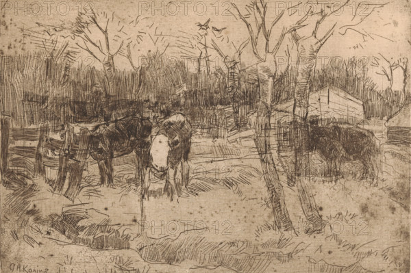Meadow with trees and cows, print, printmaker: Arnold Koning, 1870 - 1945, paper, etching, intaglio printmaking technique, height 171 mm x width 243 mm, trees, cow, A sepia-toned sketch shows a rural scene with rough-lined trees rising from a grassy foreground, a cluster of tall reeds or bushes behind them, and a simple wooden fence near the left edge. Three cows stand in the middle ground, two largely dark and one with a lighter face that faces toward the viewer, all rendered with crosshatched strokes. A small rectangular barn or shed with a slanted roof sits among the vegetation on the right, and the ground is marked by sketchy lines indicating paths or bare earth. Sparse, angular branches and tufts of grass are scattered across the composition, and the sky area is lightly textured with faint strokes.