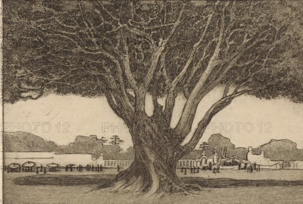 A waringin (original title), Waringin in the garden of the Sultan's palace in Yogyakarta, print, A waringin, also called a weeping fig, in the garden of Kraton Ngayogyakarta Hadiningrat, the Sultan's palace in Yogyakarta on Java., inscription: 'private collection', printmaker: Wijnand Otto Jan Nieuwenkamp (signed by artist), in or after 1898, paper, zinc etching, intaglio printmaking technique, etching with plate tone on zinc, height 137 mm x width 200 mm, trees, palace, Java, Central Java, Yogyakarta, Kraton Ngayogyakarta Hadiningrat, A large tree with a thick textured trunk and numerous branching limbs fills the foreground, its dense canopy of swirling dark foliage extending across the top of the image. Behind the tree, a flat light-colored background stretches horizontally, interrupted by silhouetted low hills and clustered shapes suggesting distant structures. Along the lower middle ground, small dark figures stand and walk near rows of round canopies and linear architectural eleme...