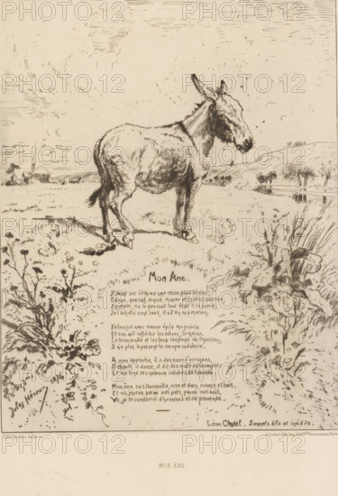 Landscape with donkey, Mon âne, French etchings from 1875, L'eau-forte en 1875, print, Series number, 26, 40, collector's mark: 'AFE v S', printmaker: Jules Héreau, writer (clerical worker): Léon Cladel, publisher: Alfred Cadart, Paris, 1875, writer (clerical worker), paper, etching, drypoint, intaglio printmaking technique, height 314 mm x width 236 mm, ass, donkey, A lightly sketched scene on aged paper showing a donkey standing in profile on a grassy plain, its head turned slightly toward the viewer and its tail hanging down; the donkey is rendered with fine lines and shading that show texture of fur and muscle. Surrounding the animal are grasses, wildflowers, and low shrubs drawn with delicate strokes, with a small body of water and distant rolling hills in the background. Above, a sparsely hatched sky with faint cloud-like marks fills the upper area. Below the donkey is a block of hand-drawn lines of text arranged in neat stanzas, and a few signatures or names appear near the lowe...