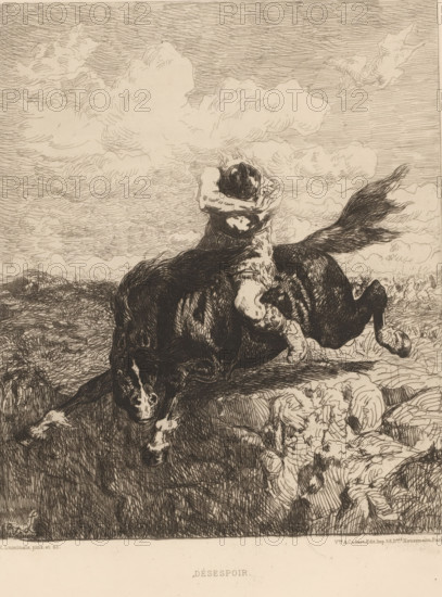 Despair, Soldier on horseback plunges into a ravine, French etchings from 1878, L'eau-forte en 1878, print, Series number, 12, 30, Frankish horseman flees from the battle and covers his face as he plunges into a ravine., watermark, collector's mark: 'AFE v S', printmaker: Évariste Vital Luminais, publisher: widow Alfred Cadart, Paris, 1878, paper, etching, drypoint, intaglio printmaking technique, height 255 mm x width 194 mm, the soldier, the soldier's life, horse, ravine, chasm, abyss, canyon, suicide out of despair, military engineering, communication and transport, A monochrome etching shows a rider clinging to a rearing horse, the rider's body bent forward with arms wrapped around the horse's neck and head bowed, hair and clothing rendered with dense lines; the horse appears tense with muscles and mane drawn in strong strokes and hooves lifted; beneath them a rocky, textured foreground transitions to a field of grass; the sky above is filled with sweeping, layered cloud forms crea...