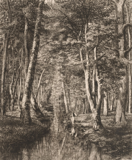 Fisherman in a forest, Rivière sous bois, French etchings from 1879, L'eau-forte en 1879, print, Series number, 11, 30, collector's mark: 'AFE v S', printmaker: Adolphe Martial Potémont, publisher: widow Alfred Cadart, Paris, 1879, paper, etching, drypoint, intaglio printmaking technique, height 306 mm x width 257 mm, angling, forest, wood, A densely detailed forest scene rendered in monochrome shows tall, slender trees with textured bark and abundant foliage forming a canopy; a narrow stream runs vertically through the center, its surface reflecting the trunks and branches above; a single figure stands at the stream’s bank holding a long pole, their clothing and reflection visible; undergrowth, grasses, and roots line the water’s edge, and overlapping branches and leaves create intricate patterns of light and shadow throughout the composition.