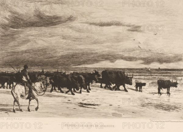 Herd of cattle, Troupeau de boeufs en Camargue, French etchings from 1879, L'eau-forte en 1879, print, Series number, 25, 30, collector's mark: 'AFE v S', printmaker: Eugène Burnand, publisher: widow Alfred Cadart, Paris, 1879, paper, etching, drypoint, intaglio printmaking technique, height 199 mm x width 278 mm, bovine cattle, herd, flock, Provence-Alpes-Côte d'Azur, Camargue, A wide horizontal scene rendered in sepia tones shows a herd of dark, horned cattle walking along a shoreline with shallow water and wet sand, their silhouettes and reflections visible; a figure on a light-colored horse leads or accompanies them at the left foreground, the rider and horse sketched with visible reins and saddle details; the sky above is filled with sweeping, textured cloud strokes and a few birds in flight, while in the distance small sailboats are seen on the horizon.
