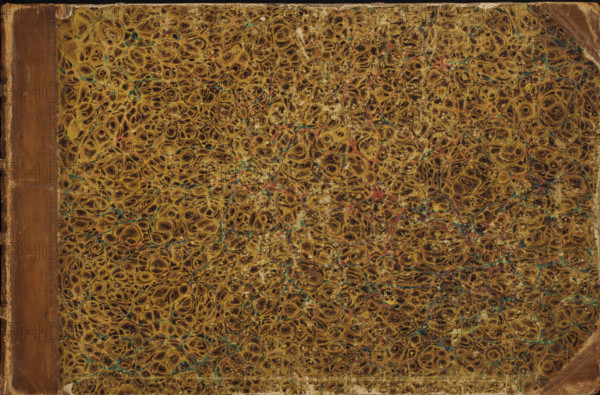 Album with ornamental alphabet, picture album, Album with title page and 24 etchings with the ornamental letters of the alphabet. The capitals are decorated with human figures, animals, birds, and fantasy figures. A cardboard binding, covered with leather and green marbled paper. The leather is stamped in gold. There is an endpaper of red marbled paper on the front and back., printmaker: Lorenzo Lorenzi, Italy, after drawing by Mauro Poggi, after drawing by Andrea Bimbi, 1745 - 1765, pasteboard, biological material, paper, leather, marbled paper, etching, engraving, binding, blocked, gold print, album with cardboard binding covered with brown marble paper and leather, stamped with gold leaf, bound etchings and engravings, height 280 mm x width 430 mm x thickness 10 mm, width 860 mm, letters, alphabet, script, fancy letters, A close-up of a textured book cover showing a marbled pattern of swirling oval and circular shapes in brown and tan tones with occasional veins of turquoise and mut...