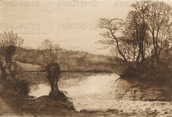 Landscape with trees along water, French etchings from 1881, L'eau-forte en 1881, print, Series number, 23, 30, watermark, collector's mark: 'AFE v S', printmaker: John Postle Heseltine, publisher: widow Alfred Cadart, Paris, 1881, paper, etching, drypoint, intaglio printmaking technique, drypoint and plate tone in brown, height 191 mm x width 278 mm, landscapes with waters, waterscapes, seascapes (in the temperate zone), trees: willow, A sepia-toned landscape etching showing a calm river or lake bordered by grassy banks and dense groups of leafless and sparsely leaved trees, with a prominent cluster of tall slender trunks and branches on the right and a few gnarled pollarded stumps near the water's edge in the foreground, reflected faintly in the water surface; low rolling hills and distant trees form the midground under a wide, lightly textured sky.