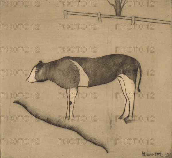 Cow standing by a riverbank, print, In the background a fence and a tree., inscription: 'Mr. Kist', printmaker: Henk Henriët (signed by artist), 1925, paper, etching, intaglio printmaking technique, height 170 mm x width 183 mm, cow, A simple line drawing on a textured beige background shows a side view of a cow with a darkly shaded back and head and lighter underbelly and legs, slender legs with subtle shading and a small dark spot on one leg, a thin tail with a darker tip, a gently curving shaded landform beneath the cow, and higher in the scene a faint horizontal fence with posts and the lower portion of a tree trunk above it.