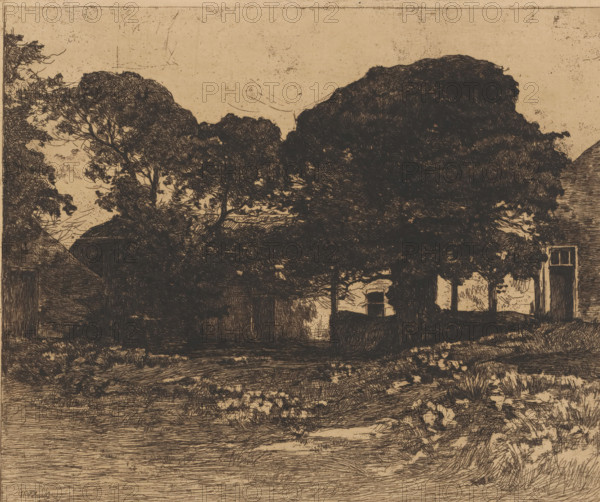 Landscape with farmhouse, print, printmaker: Willem de Zwart, 1872 - 1931, paper, etching, intaglio printmaking technique, height 255 mm x width 305 mm, farm or solitary house in landscape, A sepia-toned scene rendered in fine dark lines shows large leafy trees dominating the middle and background, their dense canopies creating textured silhouettes against a lighter sky. Fragments of buildings with sloped roofs and rectangular openings appear at the edges, partially obscured by the foliage. In the foreground a grassy, uneven ground is indicated by short strokes and clusters of vegetation, with a suggestion of a low wall or raised bank near the center. The sky is mostly empty except for faint scratches and speckled marks, and the overall image has an etched, crosshatched quality.