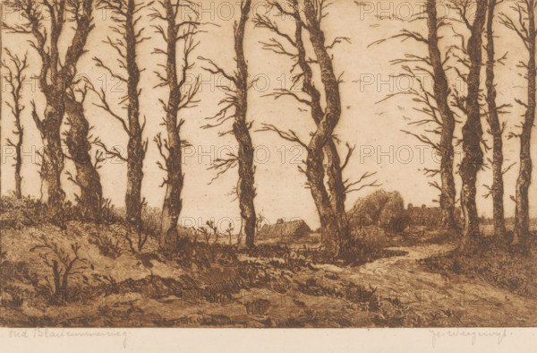 Oud Blaricummerweg (original title on object), print, Forest view with two farms in the distance., collector's mark: 'qJh', printmaker: Hendrik Weegewijs (signed by artist), 1905 - 1964, Hendrik Weegewijs, printmaker, paper, etching, intaglio printmaking technique, etching with plate tone, print in brown, height 200 mm x width 299 mm, forest, wood, farm or solitary house in landscape, A horizontal sepia-toned etching depicts a row of tall, leafless trees with textured, gnarled trunks and many thin branches set against a pale sky, with small birds sketched in flight; in the midground a thatched-roof building and clustered trees are partially visible between the trunks; the foreground shows uneven, grassy ground with low vegetation, bushes, and exposed roots, and a narrow dirt path winding toward the background; the image has a pale border along the bottom with faint handwritten marks.