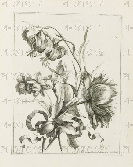 Bound bouquet, Les Petits Bouquets, print, album page, Bound bouquet. Print is part of an album., printmaker: Jean Baptiste Monnoyer, Paris, grantor of privilege: Louis XIV (King of France), c. 1680 - c. 1695, paper, etching, height 227 mm x width 175 mm, cut flowers, nosegay, bunch of flowers, A detailed black and white line drawing of several flowers and leaves arranged vertically within a rectangular border, showing curled petals, elongated stems, hanging buds, and flowing ribbon-like elements, with fine cross-hatching and delicate line work defining textures and shading.