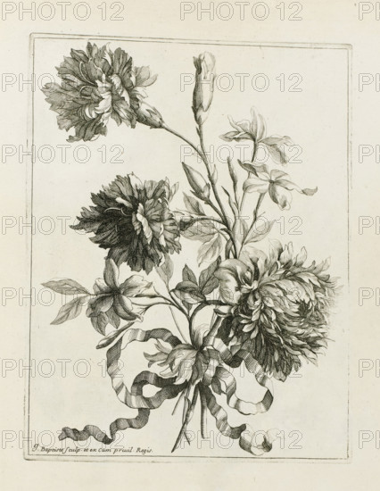 Bound bouquet, Les Petits Bouquets, print, album page, Bound bouquet. Print is part of an album., printmaker: Jean Baptiste Monnoyer, Paris, grantor of privilege: Louis XIV (King of France), c. 1680 - c. 1695, paper, etching, height 227 mm x width 177 mm, cut flowers, nosegay, bunch of flowers, A detailed black and white botanical illustration of a bouquet of flowers with large, densely petaled blooms, long slender buds, and elongated leaves, all tied together near the stems with a flowing, striped ribbon; fine crosshatching and line work create shading and texture across the petals, leaves, and ribbon, and the composition is set within a rectangular border on a pale background.