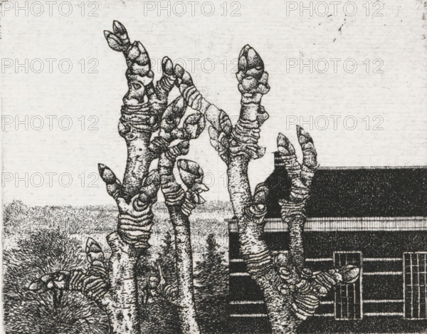 Tree buds, print, Tree buds in the foreground, a house in the background., signature: 'KEES STOOP', inscription: 'bought during our first visit, 2 Aug. 1977, IN: 75, 76?', printmaker: Kees Stoop (signed by artist), c. 1975 - in or before 1977, paper, etching, height 177 mm x width 170 mm, height 100 mm x width 124 mm, trees, A black and white drawing shows tall, knobbly tree trunks with rounded bud-like protrusions and textured bark rising in the foreground, detailed with stippling and crosshatching; behind them a building with a dark roof and rectangular windows is partially visible on the right, and low grasses and shrubs fill the lower background under a pale, textured sky.