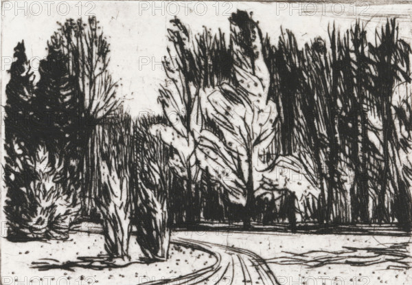 Park, print, Park with a road in the middle that curves to the left around two cypress trees., signature: 'KEES STOOP', printmaker: Kees Stoop (signed by artist), c. 1970 - c. 1975, paper, drypoint, height 200 mm x width 249 mm, height 100 mm x width 140 mm, A black and white ink drawing of a landscape showing tall, densely clustered trees and leafy plants with dark, sketchy outlines, a winding path or road in the foreground with curved lines, a flat horizontal element near the middle that could be a low wall or embankment, scattered dots and small marks across the ground, and varied textures created by dense vertical strokes and lighter, more open areas.