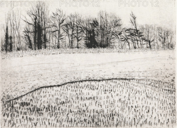 Bare trees, print, Bare trees on the horizon, a lawn in the foreground., signature and date: 'KEES STOOP '87', printmaker: Kees Stoop (signed by artist), 1987, Kees Stoop, printmaker, paper, drypoint, two prints on a single sheet, height 93 mm x width 126 mm, trees, A pale, textured landscape drawing with a distant horizontal line of leafless trees and dark clustered trunks along the top, a wide lighter field in the middle marked by faint horizontal strokes and scattered short vertical marks, and a foreground filled with dense short vertical strokes suggesting stubble, interrupted by a darker curving line that creates a low ridge across the scene.