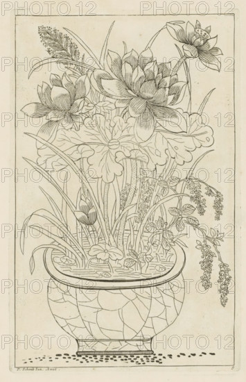 Vase with lotus flowers, Chinese women, flowers and birds, print, album page, ornamental print, Series number, 9, 12, Print is part of an album., printmaker: Pieter Schenk (II) (possibly), Amsterdam, after print by anonymous (possibly), 1727 - 1775, after print by, paper, etching, height 255 mm x width 164 mm, Chinese, flowers in a vase, flowers: lotus, A tall decorative vase with a cracked pattern holds water and a dense arrangement of plants and flowers, including large layered blossoms with many rounded petals, elongated buds, broad lobed leaves, tall slender stems, arching grasslike leaves, and drooping clusters of small rounded flowers; the vase sits on a flat surface with scattered small dots beneath, and the entire scene is rendered as a fine line drawing within a simple rectangular border.