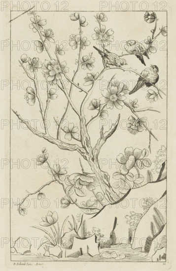 Three birds in a blossoming tree, Chinese women, flowers and birds, print, album page, ornamental print, Series number, 11, 12, Print is part of an album., printmaker: Pieter Schenk (II) (possibly), Amsterdam, after print by anonymous (possibly), 1727 - 1775, after print by, paper, etching, height 254 mm x width 160 mm, birds, trees (flowers, blossom, blossoming), A detailed ink drawing of a flowering tree branch with textured bark and multiple slender twigs bearing clusters of blossoms and buds, surrounded by smaller plants and leaves at the base; several stylized flowers with layered petals and visible stamens are scattered along the branches; three small birds perch on a horizontal branch near the upper right, each shown in different poses with patterned feathers and pointed beaks; rocks and grasses form a simple ground plane at the bottom, with a small water area and floating lily pads; the composition is enclosed by a thin rectangular border.