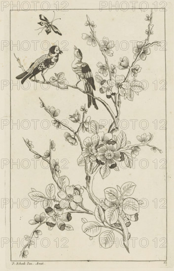 Two birds in a blossoming tree and a butterfly, Chinese women, flowers and birds, print, album page, ornamental print, Series number, 12, Print is part of an album., printmaker: Pieter Schenk (II) (possibly), Amsterdam, after print by anonymous (possibly), 1727 - 1775, after print by, paper, etching, height 255 mm x width 162 mm, birds, insects: butterfly, trees (flowers, blossom, blossoming), A vertical ink drawing of flowering branches with detailed leaves and blossoms extending across the page, two perched birds on an upper branch with one bird facing the other and a patterned butterfly flying above them, clusters of blossoms and buds along curving stems, fine line shading on petals and feathers, and a thin rectangular border framing the scene.
