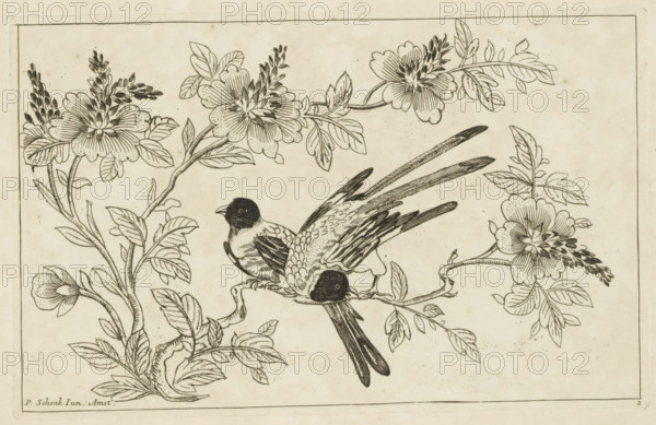Two birds on a blossoming branch, Chinese flowers and birds, print, album page, ornamental print, Series number, 2, 6, Print is part of an album., printmaker: Pieter Schenk (II), Amsterdam, 1727 - 1775, paper, etching, height 162 mm x width 255 mm, flowers, birds, Chinese, trees (flowers, blossom, blossoming), A detailed ink drawing shows two small birds perched on intertwining branches surrounded by large blooming flowers and clusters of elongated buds, with finely rendered leaves and veined petals; the birds have dark heads, patterned wings, and long tail feathers, and the composition is framed by a thin rectangular border on a lightly aged background.