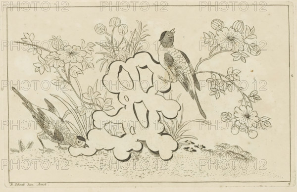 Two birds by a flowering bush, Chinese flowers and birds, print, album page, ornamental print, Series number, 4, 6, Stylized rock or tree stump with two birds. Behind it a flowering bush. Print is part of an album., printmaker: Pieter Schenk (II), Amsterdam, 1727 - 1775, paper, etching, height 163 mm x width 255 mm, flowers, birds, Chinese, trees (flowers, blossom, blossoming), A monochrome line drawing of two birds among stylized rocks and plants, showing one bird perched on a rounded rock formation with detailed feathers and a long tail, and another bird on the ground pecking near the base of the rocks. Surrounding the birds are tall grasses and flowering branches with rounded blossoms and clustered buds, drawn with fine outlines and simple interior lines to indicate petals and leaves. The ground is lightly stippled and lined to suggest texture, and a thin rectangular border frames the composition.