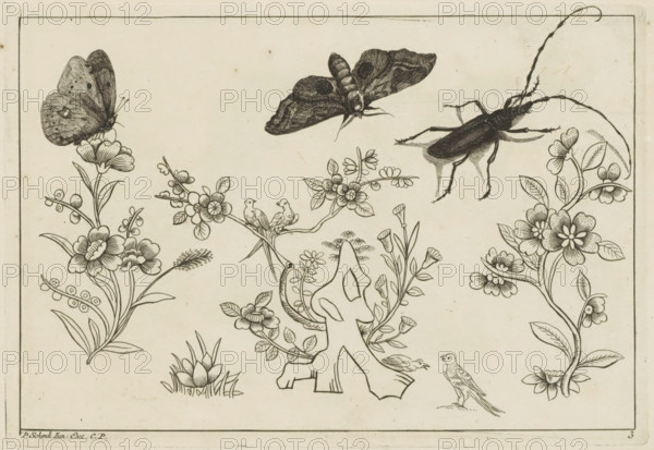 Three flower branches with birds, butterflies and an insect, Chinese flowers and insects, print, album page, ornamental print, Series number, 3, 6, butterflies and an insect with six legs and two antennae. Print is part of an album., printmaker: Pieter Schenk (II), Amsterdam, Leipzig, 1727 - 1775, unknown, grantor of privilege, paper, etching, height 168 mm x width 244 mm, flowers, Chinese, insects: butterfly, A rectangular printed panel shows detailed black line drawings on a light background, featuring floral branches with stylized blossoms and leaves arranged along the sides and bottom. Near the top left a perched butterfly rests on a flower, and toward the top center a moth is depicted in flight with patterned wings. A long-horned beetle with elongated antennae appears near the top right, positioned above the floral elements. Small birds are perched among the branches and near the center, and a standing bird is shown on the lower right. In the lower center an abstract carved shape ...