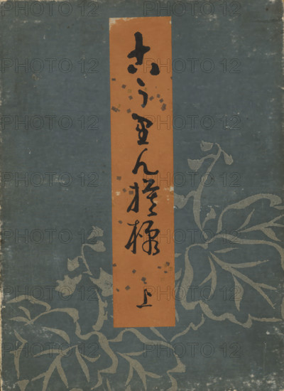 Designs after Kôrin, book, Leperello album with blue cover featuring a foliage motif, brown title cartouche with handwritten title, table of contents inside cover, 12 double pages with color woodcuts in Neo-Rinpa style., printmaker: Furuya Kôrin, Japan, publisher: Unsodo, 1907, paper, color woodcut, black line block with color blocks, metal pigments, height 255 mm x width 186 mm, A vertical rectangular orange strip sits near the center of a worn blue-gray background patterned with large, faded floral shapes, the strip bearing several vertical black brushstroke markings and small scattered square decorations; the blue-gray surface shows scuffs, discoloration, and edge wear, and the floral motifs extend outward with flowing leaves and stems in a lighter muted tone.