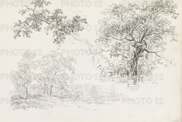 Landscape, branch with leaves and a tree by the waterside, sketchbook page, Page 34 recto from a sketchbook with 75 pages., draftsman (artist): Andreas Schelfhout, c. 1811, draftsman (artist), inorganic material, paper, chalk, black chalk, height 233 mm x width 335 mm, landscapes, trees (branch, stick), A pencil sketch showing several clusters of trees and foliage on a light paper background, with a larger, more detailed tree on the right featuring a textured trunk, spreading branches, and dense leaf clusters, and lighter, more delicate branch and leaf studies across the top and left, plus faint undergrowth and ground lines beneath the trees.