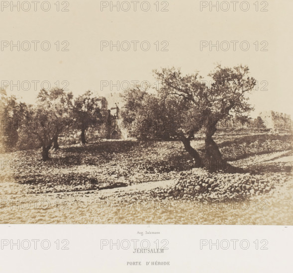 Jerusalem. Porte d'Hérode, Herod's Gate in Jerusalem, photograph, page, photographer: Auguste Salzmann, Jerusalem, printer (person): Louis-Désiré Blanquart-Evrard, Lille, publisher: Gide et J. Baudry, Paris, 1854 - 1856, printer (person), pasteboard, paper, salted paper print, height 166 mm x width 222 mm, Photo on unnumbered page., trees, city-gate, gate, entrance, Herod's Gate, A sepia-toned landscape showing a field scattered with small rocks and textured ground, with several large trees with gnarled trunks and dense canopies casting irregular shadows, a distant stone structure partially obscured by the trees, and a wide pale sky occupying the upper portion of the image.