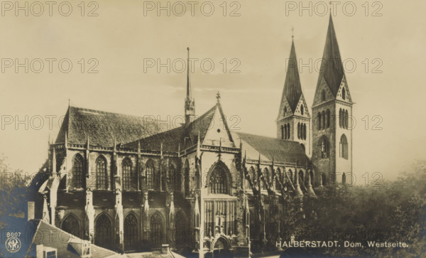 View of Halberstadt Cathedral, Halberstadt. Dom, Westseite, Bilder aus der Kunst aller Zeiten-Herausgeber: F. Grukendorf Mappe 5 Deutscher Kirchbau im Mittelalter, photograph, number: '8007', number: '3587', photographer: Neue Photographische Gesellschaft, Halberstadt, c. 1900 - in or before 1911, Saxony-Anhalt, paper, pasteboard, gelatin silver print, developing gelatin silver print, height 85 mm x width 138 mm, church (exterior), Dom (Halberstadt), A large stone cathedral with Gothic architectural features fills the image, showing pointed arch windows with tracery, buttresses, and decorative pinnacles along the roofline; two tall spires rise from one end, each topped with a finial, while a central slender spire rises from the roof ridge; the façade includes an ornate arched entrance with sculptural details and a large window above it; the roof surfaces are steeply pitched and textured, and trees and rooftops of nearby buildings appear at the bottom edge of the scene; the photograph h...