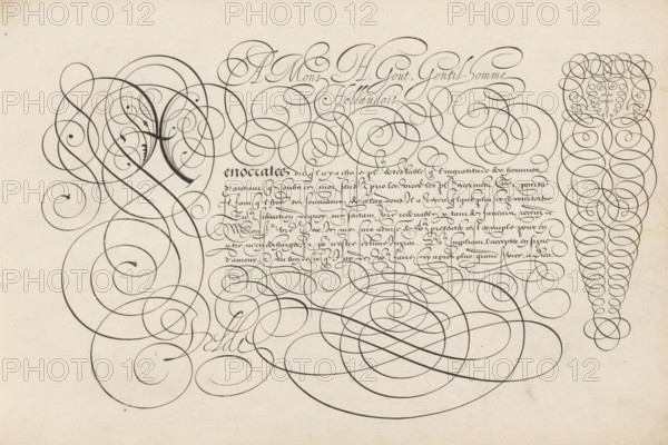 Writing sample: A Mons H. Gout, Spieghel der schrijfkonste, print, album page, ornamental print, Writing sample with the opening: A mons H. Gout gentil-homme Hollandois. Below that, in a different font, an initial X and seven lines of text in French: Xenocrates dit q(ui)l n'y a ... The text is framed by scrollwork., printmaker: Simon Frisius, Haarlem, after design by Jan van de Velde (I), publisher: Jan van de Velde (I), Rotterdam, dedicated to: H. Gout, 1605, Simon Frisius, Jan van de Velde (I), H. Gout, printmaker, after design by, publisher, paper, engraving, gravure, height 210 mm x width 320 mm, calligraphy, A cream-colored sheet filled with dark flowing ink flourishes that form large looping spirals and curving lines across the page, with a dense cluster of small, tightly wound loops arranged in a vertical conical shape near the right edge, and another ornate cluster of overlapping spirals and curved strokes on the left that create layered circular motifs; between these ornamenta...