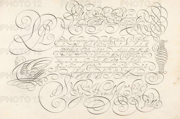 Writing example: Al eccellen. S. dott. Giovanni Bontio, Thrésor litéraire, Spieghel der schrijfkonste, print, album page, ornamental print, Writing example with the opening: Al eccellen. S. dott. Giovanni Bontio ... Below that seven lines in Italian: De riverenza ch'io ho portato ... Signed: DV Sig. Humiliss Ser. Velde. Left a swan in scrollwork., printmaker: Simon Frisius, Haarlem, after design by Jan van de Velde (I), publisher: Jan van de Velde (I), Rotterdam, dedicated to: Johannes Bontius, 1605, Simon Frisius, Jan van de Velde (I), Johannes Bontius, printmaker, after design by, publisher, paper, engraving, gravure, height 210 mm x width 320 mm, water-birds: swan, calligraphy, An off-white sheet with dense dark gray ornamental calligraphic strokes forming large flowing spirals, loops, and curving flourishes that sweep across the page, including tight coil-like stacks, overlapping circular swirls, elongated S-shaped curves, and clusters of elegant penwork; fine, evenly spaced hairli...