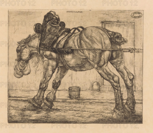 Draft horse with oat sack, L'Outillage (original series title on object), print, The horse is standing next to a sidewalk. On the sidewalk, a feed bucket., workshop stamp: 'ATELIER P. DUPONT', printmaker: Pieter Dupont, Paris, 1900, Pieter Dupont, printmaker, paper, etching, intaglio printmaking technique, height 150 mm x width 200 mm, horse, street, A detailed ink drawing of a harnessed horse seen in profile, showing its head lowered with a muzzle covering and flowing mane, a muscular body with visible contours and shading, harness straps crossing its back and attached to a horizontal pole, strong legs with textured hooves and fetlocks, a braided tail, a small bucket on the ground near the animal, and a simple background with vertical wooden planks and a framed border around the scene.