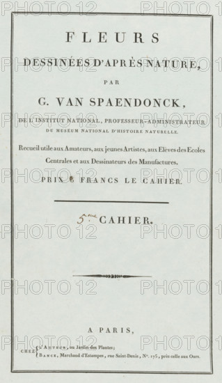 Flowers drawn from nature, 5th Cahier, wrapper, print, Cover for a series of four prints of flowers., publisher: Gerard van Spaendonck, Paris, publisher: Jacques-Louis Bance, 1799 - 1801, printmaker, paper, letterpress printing, letterpress on green paper, height 528 mm x width 344 mm, A vertical page with a thin dark rectangular border and centered lines of printed serif text; the paper is pale with small speckles and slight age marks; a horizontal rule appears near the upper middle, and a decorative horizontal flourish is visible below the center; there is a small handwritten mark above one line of printed text; the lower portion shows additional printed lines and a narrow dark border continuing to the page edge.
