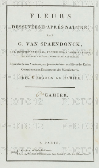 Flowers drawn from nature, 6th Cahier, wrapper, print, Cover for a series of four prints of flowers., publisher: Gerard van Spaendonck, Paris, publisher: Jacques-Louis Bance, 1799 - 1801, printmaker, paper, letterpress printing, letterpress on green paper, height 524 mm x width 345 mm, The image shows a vertical, cream-colored page with a thin double-line rectangular border near the edges and centered lines of printed large serif text in dark ink, arranged with wide spacing between sections; there is a horizontal rule and a small decorative horizontal flourish near the middle, and a looped handwritten mark in brown ink above one of the larger printed words.