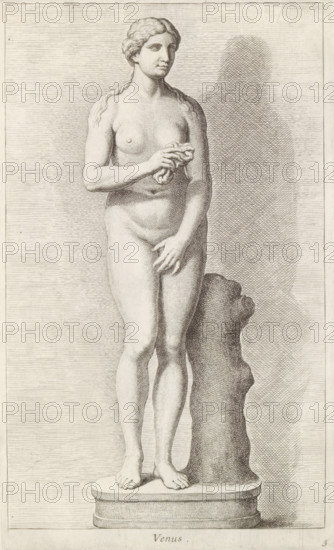 Venus, Sculpture of the Chaste Venus, print, album page, Series number, 3, 98, Classical sculpture of Venus. She covers her breasts and pubic area with her hands., with a series of prints after the sculptures in the collection of Gerard Reynst., number: '41', inscription: 'Vide lib. No. 4 ...', printmaker: Hubert Quellinus, Antwerp, printmaker: Gerard de Lairesse, 1646 - 1670, paper, engraving, gravure, height 325 mm x width 195 mm, piece of sculpture, reproduction of a piece of sculpture, (story of) Venus (Aphrodite), A monochrome engraving shows a nude female statue standing on an oval plinth, depicted full length from head to feet. The figure faces slightly to the side with hair pulled back and wavy locks falling over the shoulders. One hand holds a small cloth or drapery near the chest while the other hand rests lower near the pelvis. The body displays classical proportions with visible musculature and subtle shading to indicate form. A rough vertical support stands beside the figu...