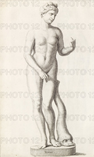 Venus, Sculpture of Venus with a dolphin, print, album page, Series number, 5, 98, Classical sculpture of Venus with a dolphin beside her. The sculpture is missing several fingers., with a series of prints after the sculptures in the collection of Gerard Reynst., number: '42', inscription: 'Vide lib No. 4 ...', printmaker: Hubert Quellinus, Antwerp, printmaker: Gerard de Lairesse, 1646 - 1670, paper, engraving, gravure, height 330 mm x width 204 mm, piece of sculpture, reproduction of a piece of sculpture, (story of) Venus (Aphrodite), A detailed monochrome drawing of a classical nude female statue standing on an oval base, shown full length from head to feet; the figure has softly modeled features, wavy hair pulled back, and a serene expression with the head tilted slightly to one side; one arm is raised with the hand turned outward and fingers slightly curled while the other hand rests near the groin; the body displays subtle shading to indicate muscle and form, with crossed legs and...
