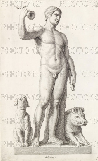 Sculpture of Adonis, Adonis, print, album page, Series number, 9, 98, Classical sculpture of Adonis with a dog beside him and the wild boar that killed him., with a series of prints after the sculptures in the collection of Gerard Reynst., number: '44', printmaker: Hubert Quellinus, Antwerp, printmaker: Gerard de Lairesse, 1646 - 1670, paper, engraving, gravure, height 330 mm x width 201 mm, piece of sculpture, reproduction of a piece of sculpture, (story of) Adonis, A detailed monochrome engraving shows a standing nude male figure on a rectangular plinth, depicted in a contrapposto pose with weight on one leg and the other slightly bent, holding a small cylindrical object in one hand and raising a narrow trumpet-like object in the other; the figure has short curly hair and finely modeled musculature, with sandals on his feet. Flanking the figure at the base are two animals: one resembling a seated dog with a collar looking upward, and the other a recumbent boar with a textured snout a...