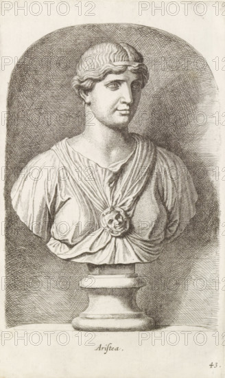 Aristea, Bust of Aristea, print, album page, Series number, 43, 98, Classical bust of Aristea with diadem in the hair., with a series of prints after the sculptures in the collection of Gerard Reynst., number: '61', print maker: Hubert Quellinus, Antwerp, printmaker: Gerard de Lairesse, 1646 - 1670, paper, engraving, gravure, height 325 mm x width 195 mm, piece of sculpture, reproduction of a piece of sculpture, the great goddesses of Heaven, and their train, A monochrome engraved bust of a woman shown from the chest up on a plinth, with stylized wavy hair held by a thin band and a calm facial expression, wearing a draped garment gathered at the center by a circular brooch that bears a sculpted face, all set against a densely crosshatched oval background that contrasts with the lighter paper surrounding the figure.