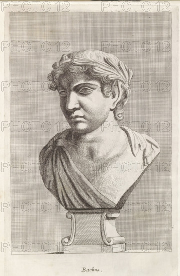 Bachus, Bust of Bacchus, print, album page, Series number, 63, 98, Classical bust of the god Bacchus or Pan, with a crown of leaves and two goat's legs over his shoulders., with a series of prints after the sculptures in the collection of Gerard Reynst., number: '71', inscription: 'Vide lib. No. 4 de fol. 66 ...', printmaker: Hubert Quellinus, Antwerp, printmaker: Gerard de Lairesse, 1646 - 1670, Hubert Quellinus, Gerard de Lairesse, printmaker, paper, engraving, gravure, height 328 mm x width 199 mm, piece of sculpture, reproduction of a piece of sculpture, (story of) Bacchus (Dionysus), Liber, (story of) Pan, A detailed engraved bust of a classical figure shown from the chest upward rests on a decorative pedestal; the figure has curly hair partially covered by a laurel-like headband, defined facial features with a contemplative expression, and a draped garment across one shoulder, all rendered with fine crosshatching against a tightly gridded background.