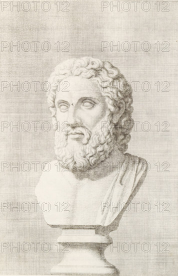 Bust of a bearded man, facing left, print, album page, Series number, 75, 98, with a series of prints after the sculptures in the collection of Gerard Reynst., number: '77', printmaker: Hubert Quellinus, Antwerp, printmaker: Gerard de Lairesse, 1646 - 1670, paper, engraving, gravure, height 328 mm x width 198 mm, piece of sculpture, reproduction of a piece of sculpture, male persons from classical history, A monochrome drawing of a classical marble bust showing a bearded male head and upper torso on a pedestal, with wavy hair, deep-set blank eyes, a full curly beard, and a draped garment over one shoulder, set against a textured, crosshatched background.