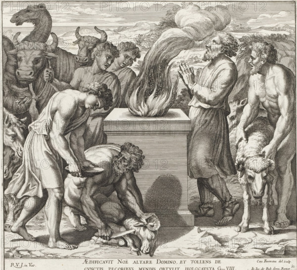 Noah offering to God, Imagines Veteris ac Novi Testamenti, Paintings in the Loggia of Raphael, Raphael Bible, print, album page, Series number, 12, 52, Noah and his companions make an offering to God at an altar. Bible verse below the image. Print is part of an album., number: '134', printmaker: Cesare Fantetti, Italy, after painting by Raphael, Vatican City, publisher: Giovanni Giacomo de' Rossi, Rome, grantor of privilege: Papal Court, 1675, Cesare Fantetti, Raphael, Giovanni Giacomo de' Rossi, Papal Court, grantor of privilege, paper, etching, height 239 mm x width 256 mm, Print is part of a series of 55 prints, consisting of three unnumbered prints and a set of 52 numbered prints after the paintings in the Loggia by Raphael., Noah's sacrifice, various animals are offered, possibly a lamb, a dove and a ram (often combined with the rainbow of the covenant), A detailed black and white engraving shows a group of men and animals gathered around a central stone altar with a tall flame ri...