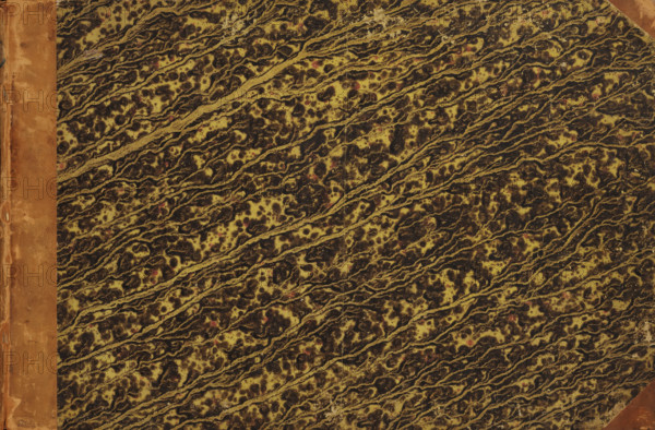 Album with prints by Pietro Santi Bartoli, print album, Album with 73 prints on 52 album pages. The album contains prints from three different print series, based on designs by Raphael. A cardboard binding, covered with leather and green marbled paper, with a blank endpaper at the front and back., number: '248', printmaker: Pietro Sante Bartoli, Italy, 1645 - 1700, pasteboard, biological material, paper, leather, marbled paper, binding, etching, engraving, album with cardboard binding, bound etchings and engravings, height 272 mm x width 420 mm x thickness 18 mm, width 828 mm, Simon Schijnvoet assigned the album the Schijnvoet number 5, liber number 11 in 1709., A close-up view of a textured surface with a marbled pattern in dark brown and yellowish tones, featuring irregular wavy diagonal streaks and mottled spots, with areas of reddish-brown speckling and a worn, brown leather-like strip along the left edge and a triangular brown corner piece at the top right.