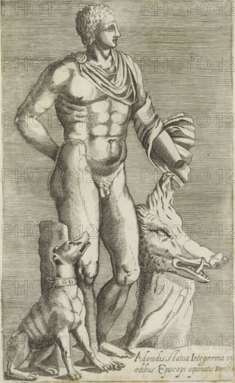 Adonidis statua integerrima in aedibus Episcopi aguinatis Romae, Sculpture of Adonis with hunting dog and head of a wild boar, Ancient sculptures in Rome, Antiquarum statuarum urbis Romae quae in publicis locis visuntur icones, print, album page, Caption in Latin. Print is part of an album., number: '14', printmaker, publisher, Rome, Italy, paper, engraving, height 225 mm x width 135 mm, This print is part of a set of 79 prints (title print) depicting ancient sculptures in Rome., piece of sculpture, reproduction of a piece of sculpture, (story of) Adonis, A detailed engraving of a standing nude male figure shown from head to feet, facing slightly to the right, with curly hair and a draped cloth over one shoulder and arm, muscular torso and defined abdomen, one hand resting on his hip and the other holding a coiled drapery that falls beside him; at his feet a seated dog with a collar looks upward, and next to the figure a large sculpted boar's head rests on the ground, all rendered with...