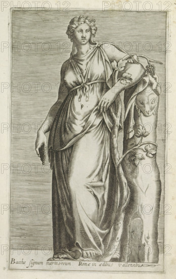 Sculpture of a Bacchante, Bacchae signum marmoreum Romae in aedibus Vallensibus, Ancient sculptures in Rome, Antiquarum statuarum urbis Romae quae in publicis locis visuntur icones, print, album page, Caption in Latin. Print is part of an album., number: '30', printmaker, publisher, Rome, Italy, paper, engraving, height 225 mm x width 135 mm, This print is part of a set of 79 prints (title print) depicting ancient sculptures in Rome., piece of sculpture, reproduction of a piece of sculpture, maenad(s), female bacchant(es), A tall carved figure of a woman in draped clothing stands facing forward, her hair curled and pulled back, one arm hanging by her side holding a small cluster of rounded objects and the other arm resting on a vertical carved support entwined with leafy vines, the support featuring a faint face-like carving; the drapery shows detailed folds and gathers tied at her chest and waist, the lower garment falls to bare feet that stand on a shallow rectangular base, and the b...