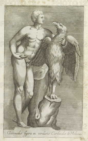 Sculpture of Jupiter as an eagle with Ganymede, Ganimedis figura in viridario Cardinalis de Medicis, Ancient sculptures in Rome, Antiquarum statuarum urbis Romae quae in publicis locis visuntur icones, print, album page, Caption in Latin. Print is part of an album., number: '31', printmaker, publisher, Rome, Italy, paper, engraving, height 225 mm x width 135 mm, This print is part of a set of 79 prints (title print) depicting ancient sculptures in Rome., piece of sculpture, reproduction of a piece of sculpture, (story of) Jupiter (Zeus), (story of) Ganymede, love-affairs of Jupiter, males, A monochrome engraved image shows a nude male figure standing with a muscular torso and short hair, his left arm bent across his body and his right hand resting near his hip; he faces a large bird perched on a raised stump, which has textured feathers, outstretched wings, and a curved beak. The man and bird are set against a lined background within a rectangular frame, and the stump shows wood grain ...