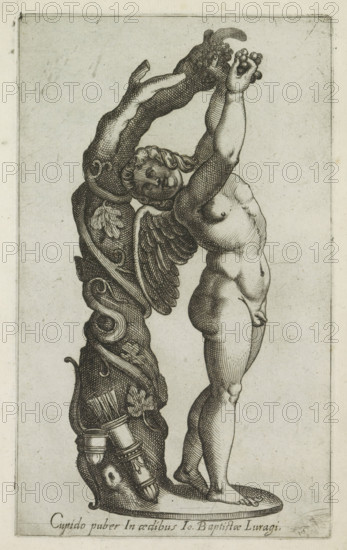 Cupid adolescent in aedibus Io Baptistae Lugari, Sculpture of Cupid picking grapes, Ancient sculptures in Rome, Antiquarum statuarum urbis Romae quae in publicis locis visuntur icones, print, album page, Caption in Latin. Print is part of an album., number: '40', printmaker, publisher, Rome, Italy, paper, engraving, height 224 mm x width 135 mm, This print is part of a set of 79 prints (title print) depicting ancient sculptures in Rome., piece of sculpture, reproduction of a piece of sculpture, (story of) Cupid, Amor (Eros), A vertical etching shows a classical nude figure standing on an oval base with arms raised and hands holding a small cluster of rounded objects; the figure has curly hair, a youthful face turned slightly, and a single wing attached to the back; to the left of the figure is an ornate vertical decorative element with curling acanthus-like foliage, carved leaves, and a cylindrical object with bands near its lower part; shading is rendered with fine parallel and cross ...
