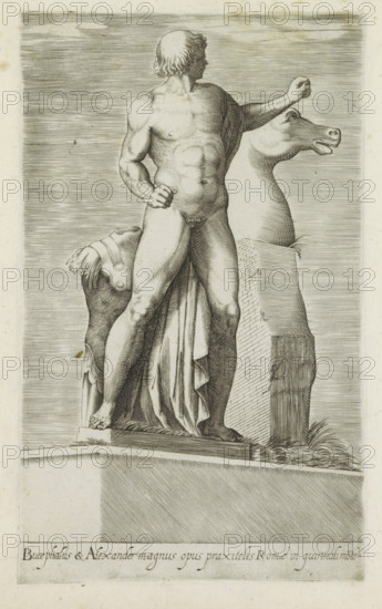 Sculpture of one of the Dioscuri on the Quirinal in Rome, Bucephalus & Alexander magnus opus, Ancient sculptures in Rome, Antiquarum statuarum urbis Romae quae in publicis locis visuntur icones, print, album page, One of the two statues of the Dioscuri (Castor and Pollux), two naked men with horses. Previously interpreted as the artists Pheidias and Praxiteles. The statues stand in the Piazza del Quirinale in Rome. Caption in Latin. Print is part of an album., number: '9', printmaker, publisher, Rome, Italy, paper, engraving, height 224 mm x width 144 mm, This print is part of a set of 79 prints (title print) depicting ancient sculptures in Rome., piece of sculpture, reproduction of a piece of sculpture, Quirinal, A grayscale engraved image of a classical marble statue depicting a nude male figure standing with weight on one leg and the other slightly bent, shown from behind and turned in profile with short wavy hair; one arm is bent at the elbow with a clenched fist near the waist whi...