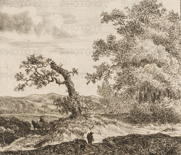Walker in the dunes outside Haarlem, print, printmaker: Anthonie van den Bos, 1778 - 1838, paper, etching, height 149 mm x width 169 mm, dunes (sea not visible), in the dunes, Kennemerland, A monochrome etched landscape showing winding paths and rolling hills with detailed linework, prominent trees with twisting trunks and dense, textured foliage on the right and center, a gnarled branch extending toward the left, a distant horizon with layered hills beneath a sky marked by fine horizontal strokes, a small figure walking along a path in the middle ground, and a cart pulled by an animal near a bridge or causeway on the left, all rendered with intricate crosshatching and delicate pen-like lines.