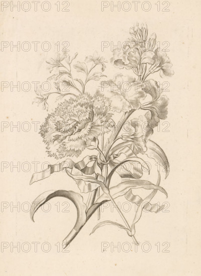Bunch with lilies, rose and other flowers, print, Series number, 10, Numbered bottom center: 10., Netherlands (possibly), 1700 - 1800, printmaker, paper, etching, engraving, height 235 mm x width 174 mm, flowers: rose, cut flowers, nosegay, bunch of flowers, flowers: lily, A detailed pencil drawing of a floral arrangement on a light textured background shows large ruffled blossoms with layered petals, slender stems, narrow elongated leaves, and smaller delicate flowers with thin petals; the composition includes curved ribbonlike elements entwined with the stems and finely shaded lines to indicate petal and leaf texture.